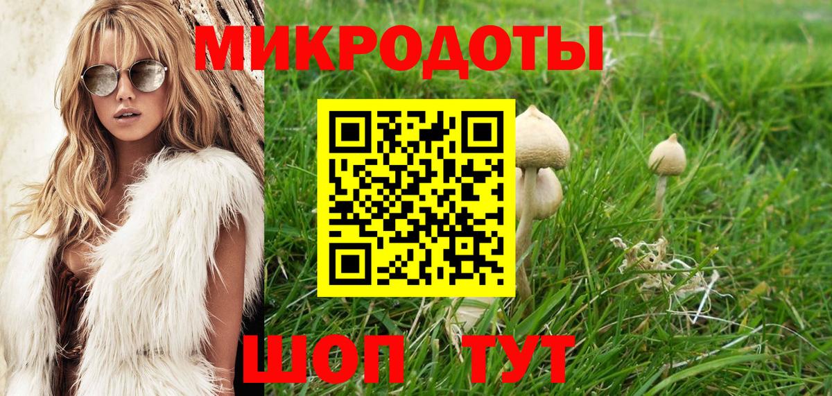 Псилоцибиновые грибы Cubensis Туймазы
