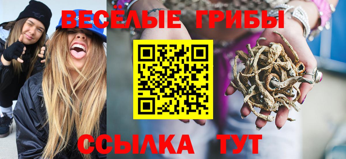 Туймазы  Галлюциногенные грибы Psilocybine cubensis  Вход с VPN  Галлюциногенные грибы Psilocybe 